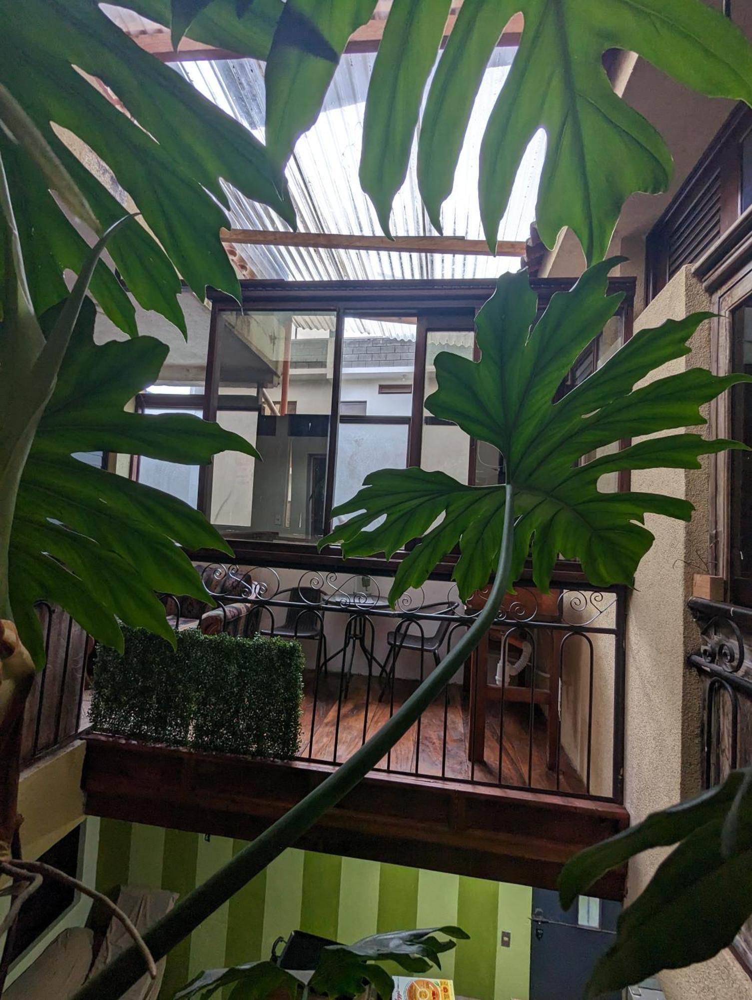 Casa Gonzalez Leilighet Santiago Atitlán Eksteriør bilde